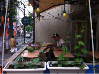 image-20110627161553.png
